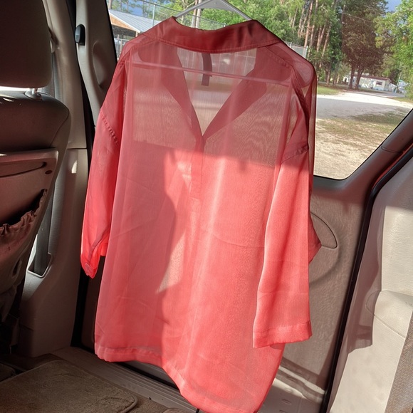 Sheer Blouse - Picture 3 of 3